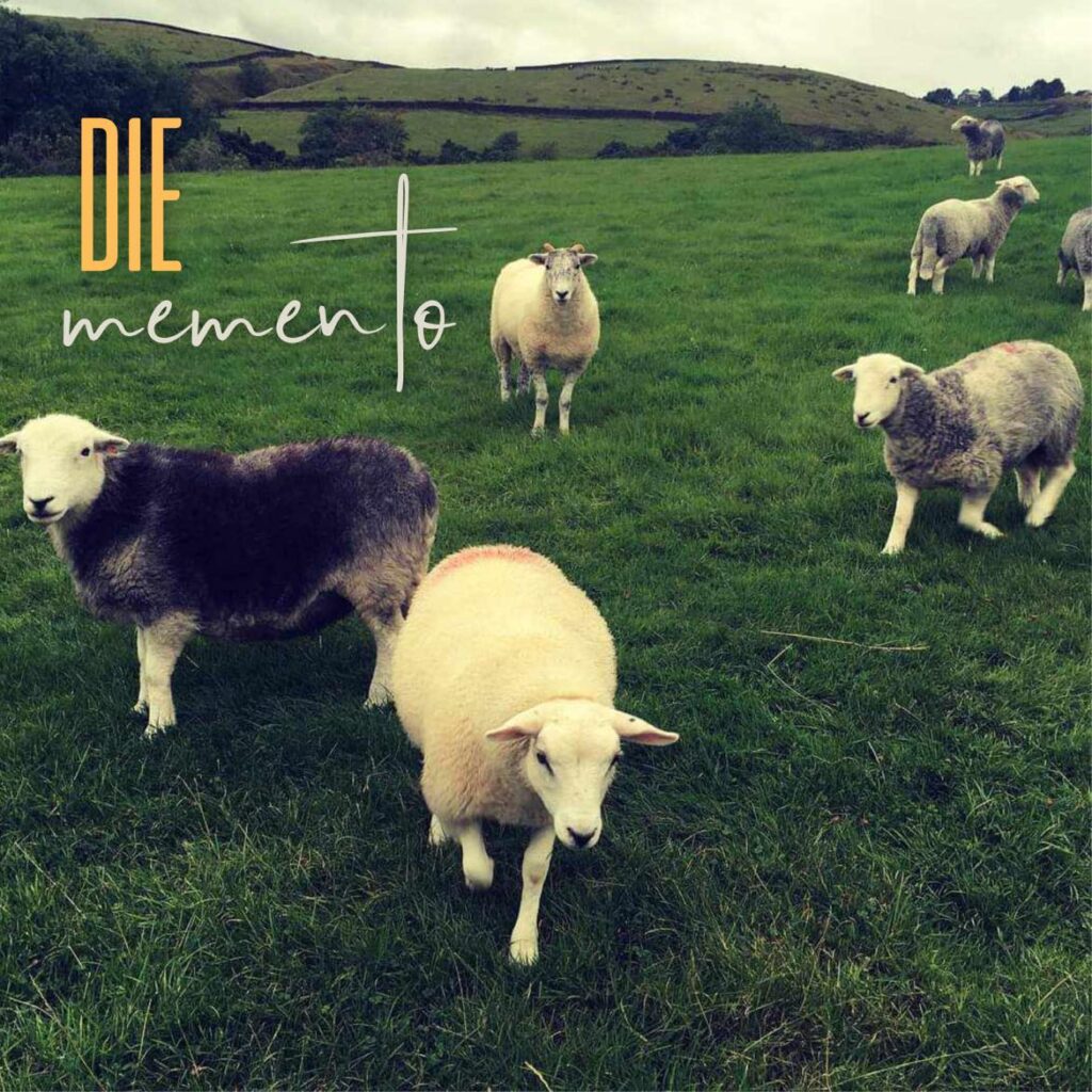 Our IRs feature on the bass in DIE's new album.