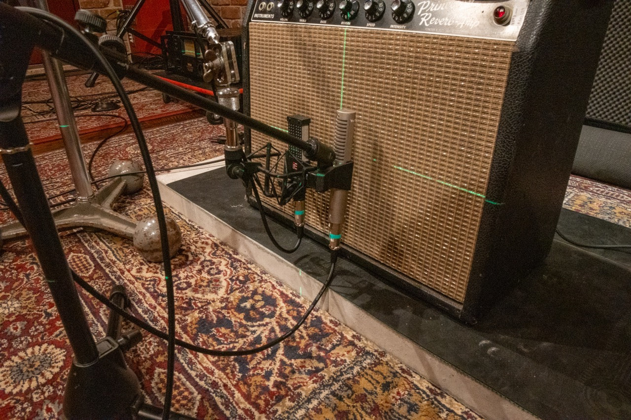 110 FEND PRIN | Fender™ Princeton Reverb [Black Face]