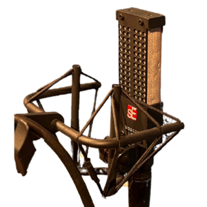 VR1