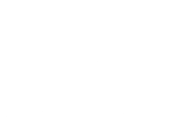 TacoSounds Online Store